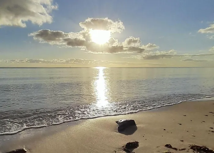 Kleine Möwe Ferienhaus *