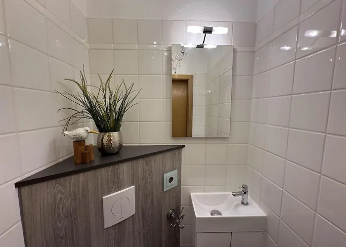 Kleine Möwe Dahme (Schleswig-Holstein)